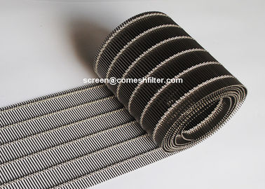 Tende della rete metallica dei drappi della bobina della cascata dell'acciaio inossidabile della maglia di architettura del metallo
