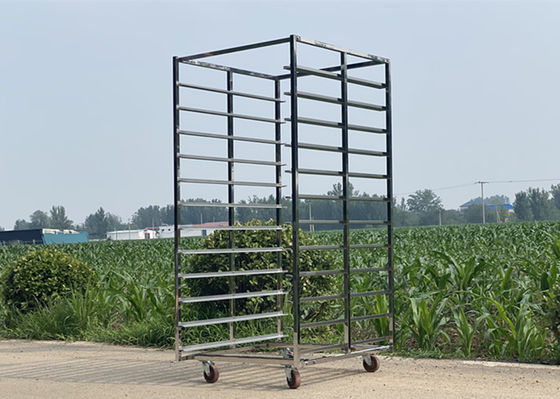 Un buon prezzo. Camionetto a scaffalatura in acciaio inossidabile 304 con capacità di carico di 300 kg in linea