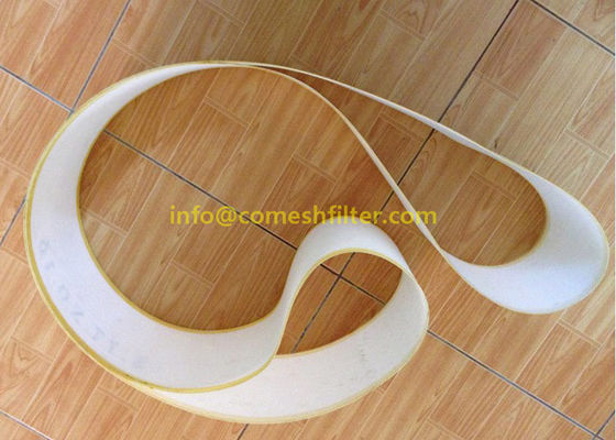 Un buon prezzo. 80um poliestere unentesi senza fine Mesh Belt For Papermaking Industry in linea