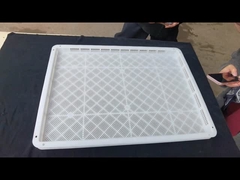 Tastiera per l'essiccazione dei cibi in plastica di PP