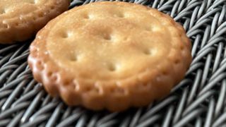 Trasportatore per prodotti da forno ad alta temperatura resistente al calore in metallo in acciaio inossidabile 304 Rete metallica a spina di pesce Bisc