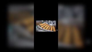 Cintura flessibile in rete metallica piatta per trasportatore a catena con scala per forno per pizza in acciaio inossidabile per rivestimento di cioccolato,