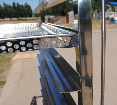 Pentola personalizzabile del randagio del carrello dello scaffale di acciaio inossidabile della FDA del piatto