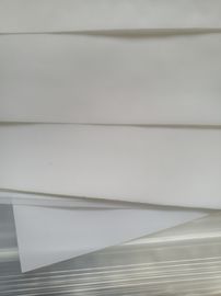 Un buon prezzo. Maglia di nylon del tessuto filtrante di salute con colore bianco per filtrazione dell'alimento in linea