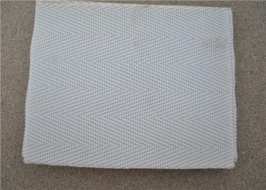 Un buon prezzo. Cinghia resistente ad alta temperatura della maglia del poliestere con bianco usato per acque luride in linea