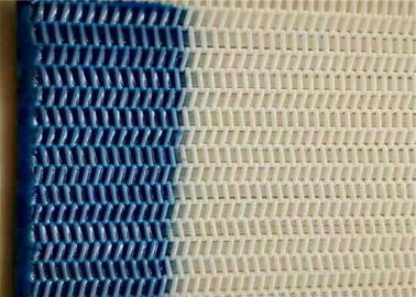Un buon prezzo. Setaccio a maglie 100% ad alta resistenza del poliestere per il nastro trasportatore dell'alimento in linea