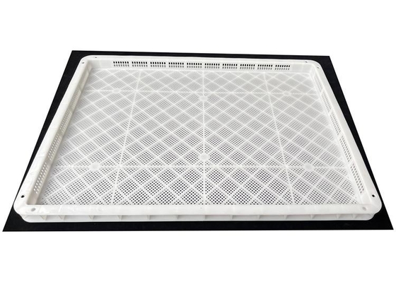 Prodotti alimentari Hdpe PP Piatti di plastica per l'essiccazione della vendita Piatti di plastica per l'essiccazione degli alimenti impilabili